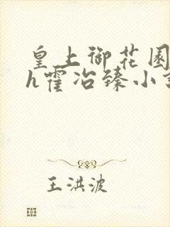 皇上御花园hlh霍冶臻小说