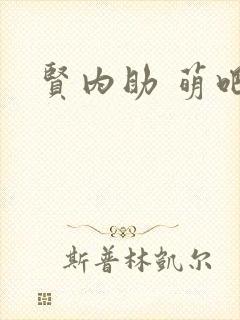 贤内助 萌吧啦封面