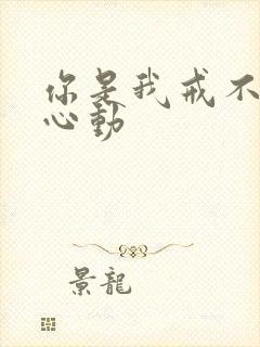 你是我戒不掉的心动