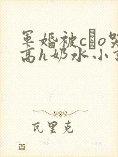 军婚被cαo哭高h奶水小说封面