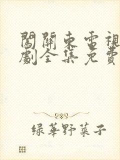 闯关东电视连续剧全集免费观看