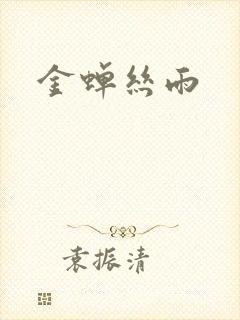 金蝉丝雨封面