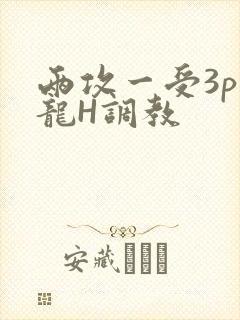 两攻一受3p双龙H调教