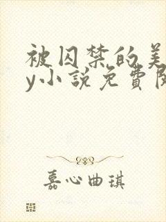 被囚禁的美人by小说免费阅读