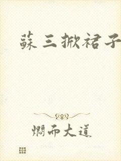 苏三掀裙子封面