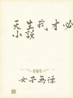 天生我才必有用小说