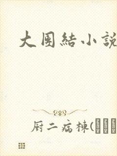 大团结小说阅读