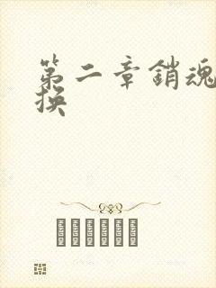 第二章销魂的交换