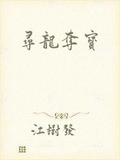 寻龙夺宝