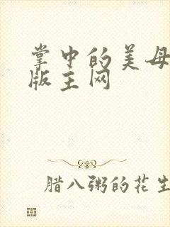 掌中的美母第一版主网