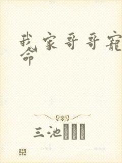 我家哥哥宠妹如命