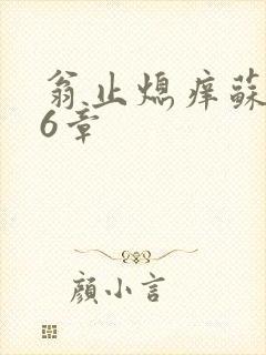 翁止熄痒苏玥第6章