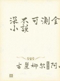深不可测金银花小说