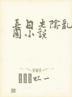 长日光阴乱作一团小说封面