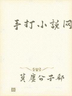手打小说网封面