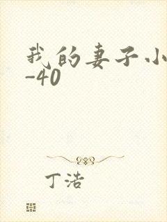 我的妻子小谨1-40