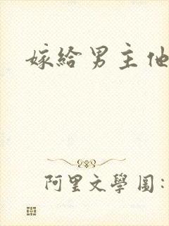 嫁给男主他爸爸