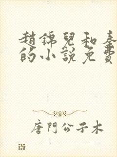 赵锦儿和秦慕修的小说免费阅读全文