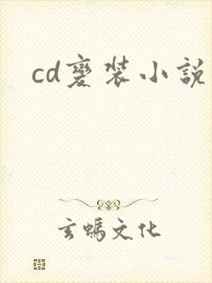 cd变装小说封面