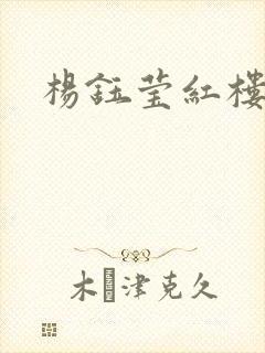 杨钰莹红楼封面