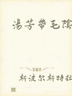 汤芳带毛阴部