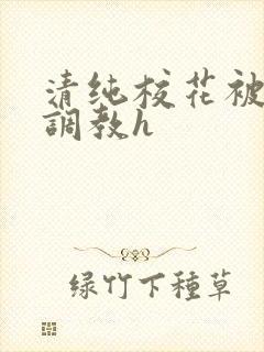 清纯校花被地狱调教h