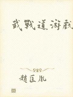 武战道游戏