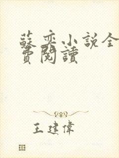 苏奕小说全文免费阅读