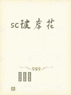 sc彼岸花封面