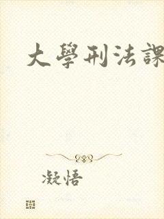 大学刑法课