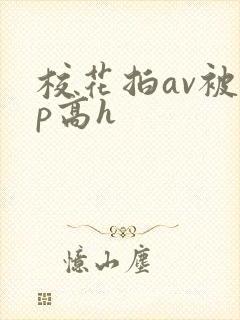 校花拍av被np高h