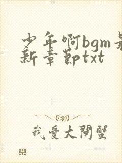 少年啊bgm最新章节txt封面