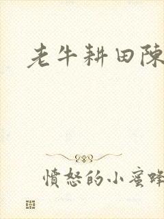 老牛耕田陈雪封面