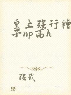 皇上强行糟蹋太子np高h