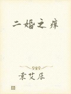 二婚之痒封面