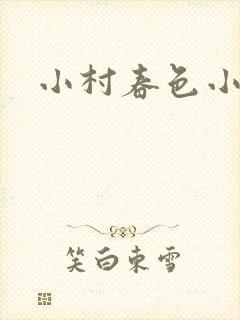 小村春色小说