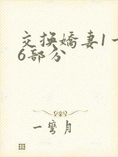 交换娇妻1一36部分