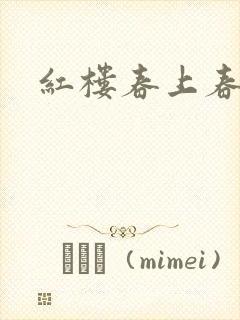 红楼春上春封面