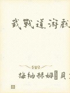 武战道游戏