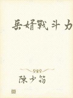 岳婿战斗力封面