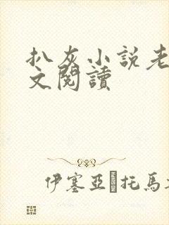 扒灰小说老马全文阅读