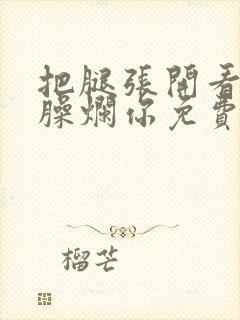 把腿张开看老子臊烂你免费封面