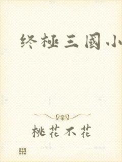 终极三国小乔封面