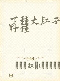 下种大肚子怀孕野种
