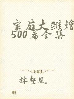 家庭大杂烩小说500篇全集