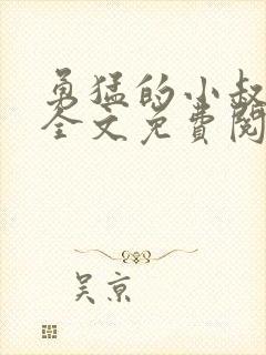 勇猛的小叔小说全文免费阅读封面