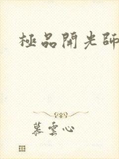 极品开光师