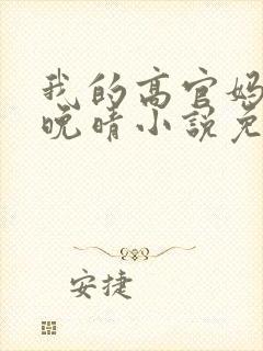 我的高官妈妈苏晚晴小说免费阅读