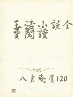 王浩小说全文免费阅读封面