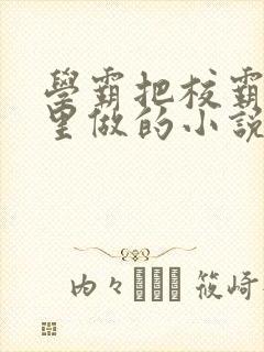 学霸把校霸往死里做的小说封面